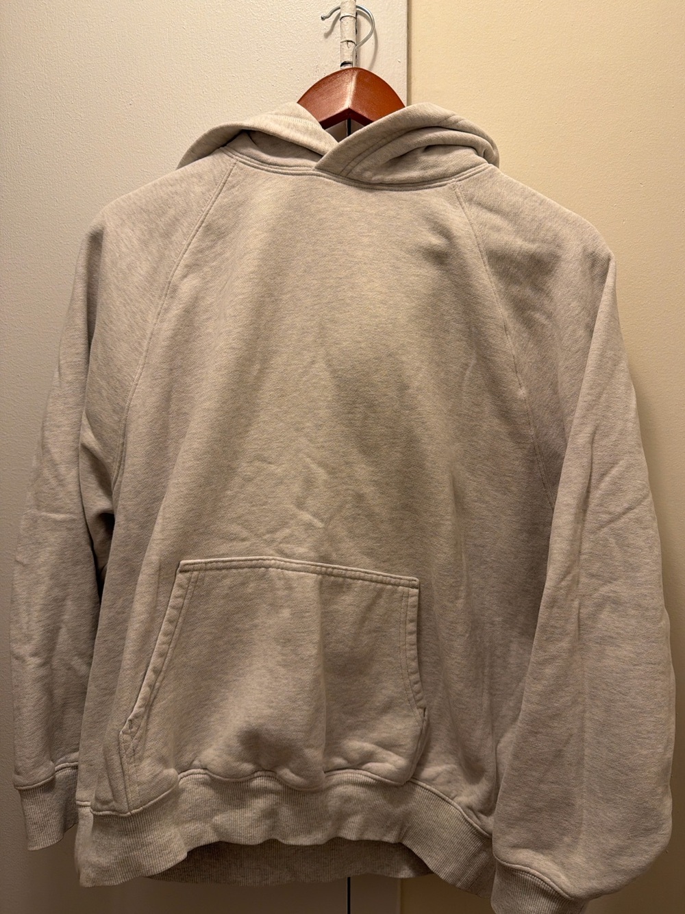 Aritzia Cozy Sweatfleece Perfect Hoodie